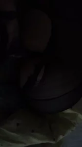 天津后入大屁股小母狗